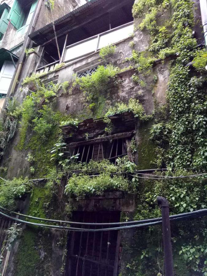 Baobabed Hostel Yangon, Myanmar Екстериор снимка